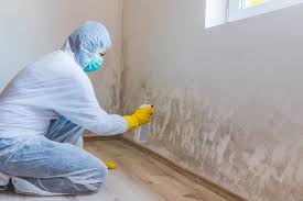 Best Forensic Mold Investigation  in Sturgis, MI